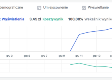 Raport z kampanii na ruch na stronie - przykład 5